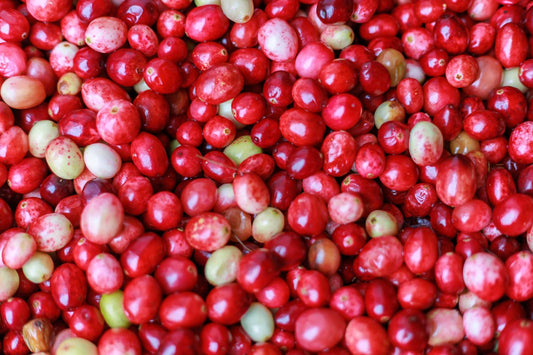 🍒 The Power of Cranberries: Tiny Fruit, Big Benefits