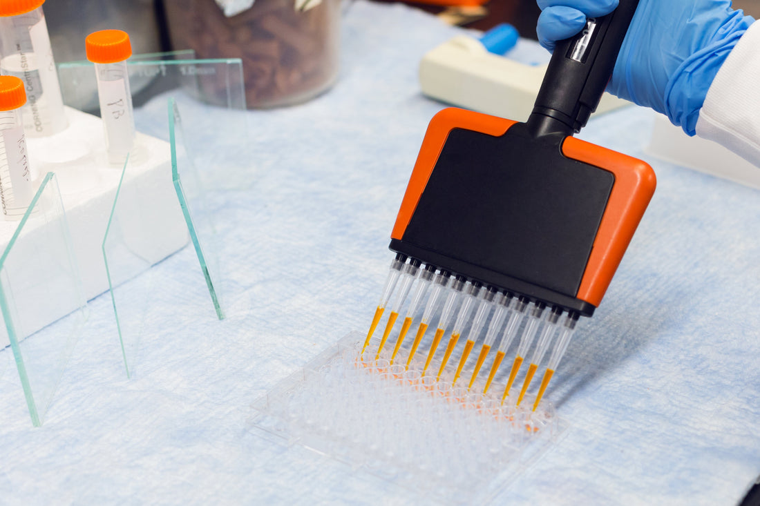 The Emergence of Peptides in Skincare: Why These Tiny Ingredients Are Making a Big Impact