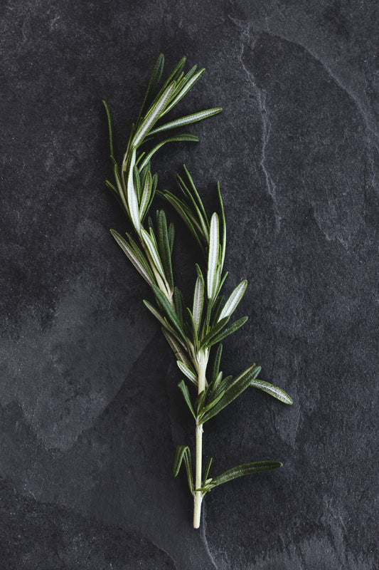 Rosemary- good for your skin, brain and sleep